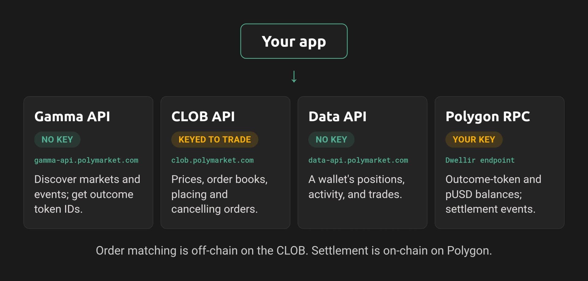 The Polymarket API surface: the Gamma, CLOB, and Data APIs plus a Polygon RPC endpoint around your app.