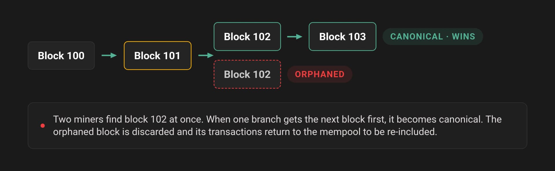 A chain reorganization where a competing block 102 is orphaned and its transactions return to the mempool.